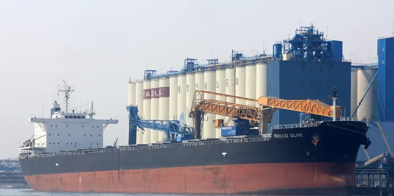 ROSCO OLIVE Bulk Carrier IMO 9542465 photo 7