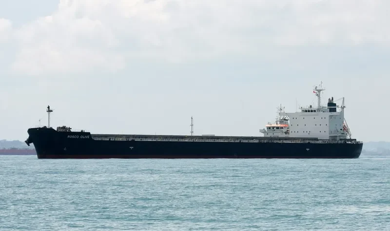 ROSCO OLIVE Bulk Carrier IMO 9542465 photo 8