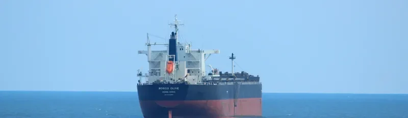 ROSCO OLIVE Bulk Carrier IMO 9542465 photo 9