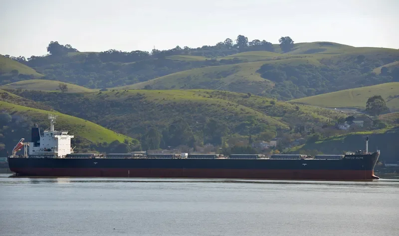 ROSCO OLIVE Bulk Carrier IMO 9542465 photo 10