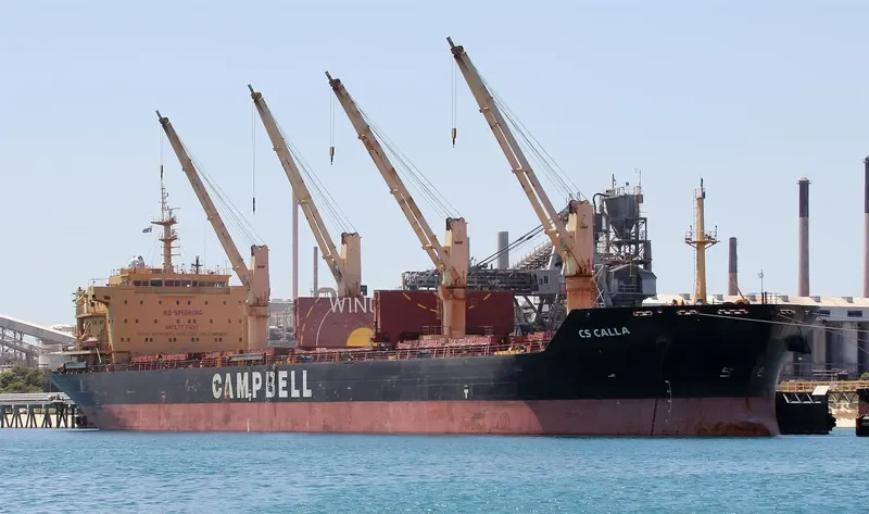 CS CALLA Bulk Carrier IMO 9542520