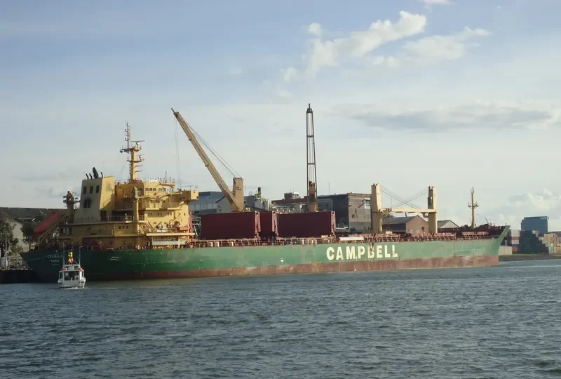 CS CALLA Bulk Carrier IMO 9542520 photo 2