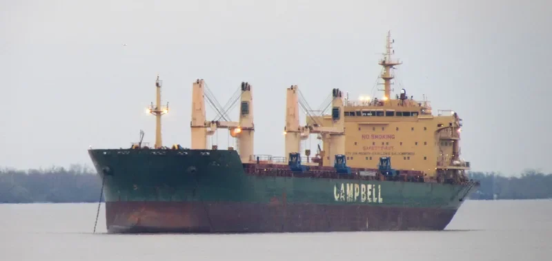 CS CALLA Bulk Carrier IMO 9542520 photo 3