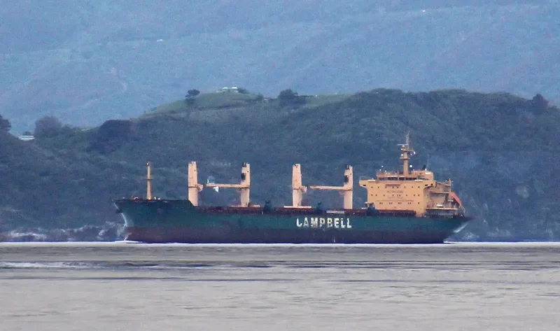 CS CALLA Bulk Carrier IMO 9542520 photo 4
