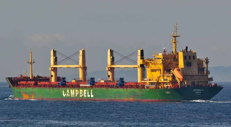 CS CALLA Bulk Carrier IMO 9542520 photo 6