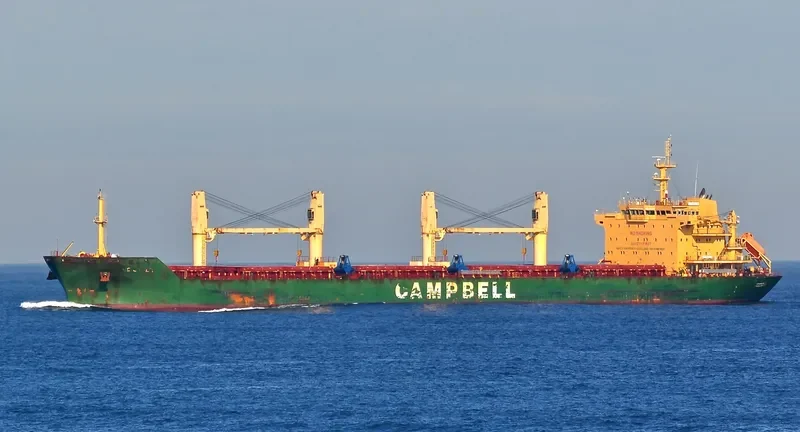 CS CALLA Bulk Carrier IMO 9542520 photo 7