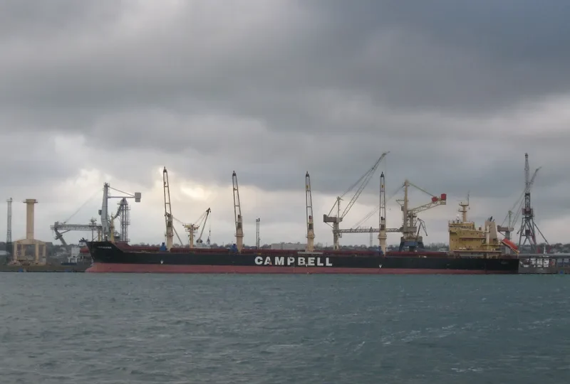 CS CALVINA Bulk Carrier IMO 9542532