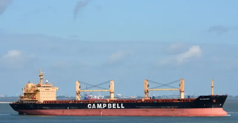 CS CALVINA Bulk Carrier IMO 9542532 photo 4