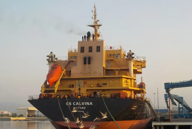 CS CALVINA Bulk Carrier IMO 9542532 photo 5