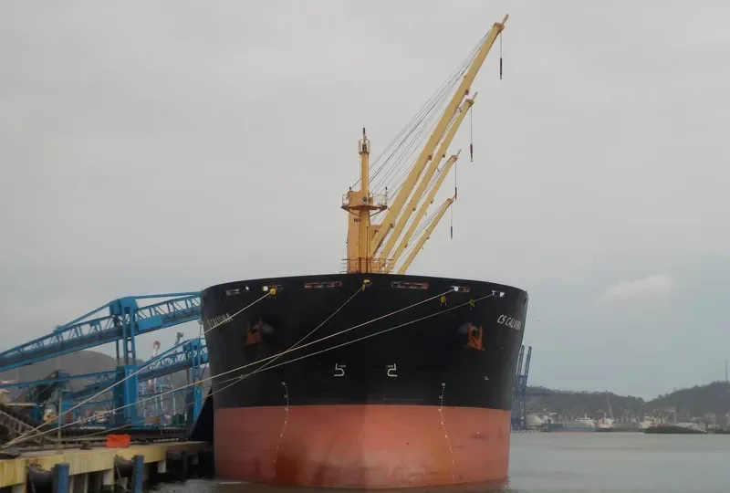 CS CALVINA Bulk Carrier IMO 9542532 photo 7