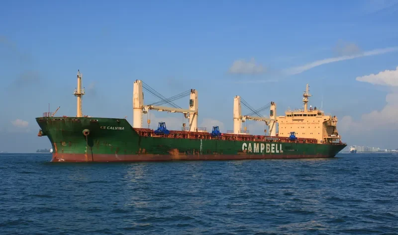 CS CALVINA Bulk Carrier IMO 9542532 photo 9