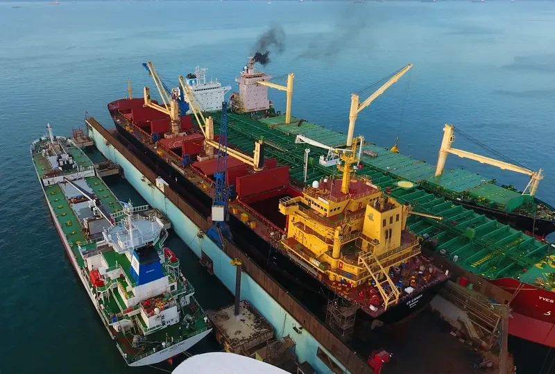 CS CANDY Bulk Carrier IMO 9542544