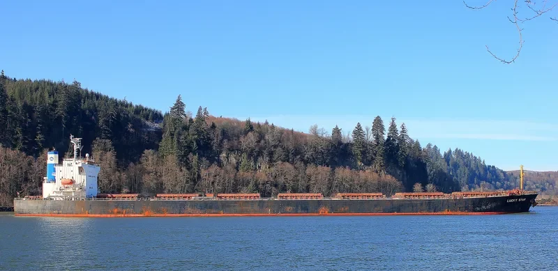 LUCKY STAR Bulk Carrier IMO 9542582 photo 2