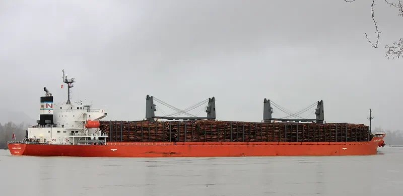 SHAKESPEARE BAY Bulk Carrier IMO 9542661 photo 2