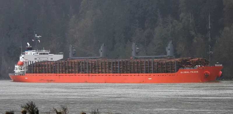 SHAKESPEARE BAY Bulk Carrier IMO 9542661 photo 3