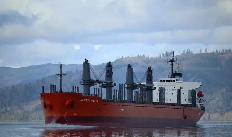 SHAKESPEARE BAY Bulk Carrier IMO 9542661 photo 4