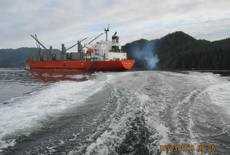 SHAKESPEARE BAY Bulk Carrier IMO 9542661 photo 6