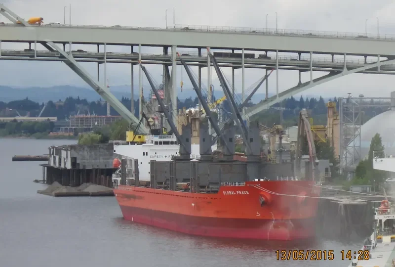 SHAKESPEARE BAY Bulk Carrier IMO 9542661 photo 8