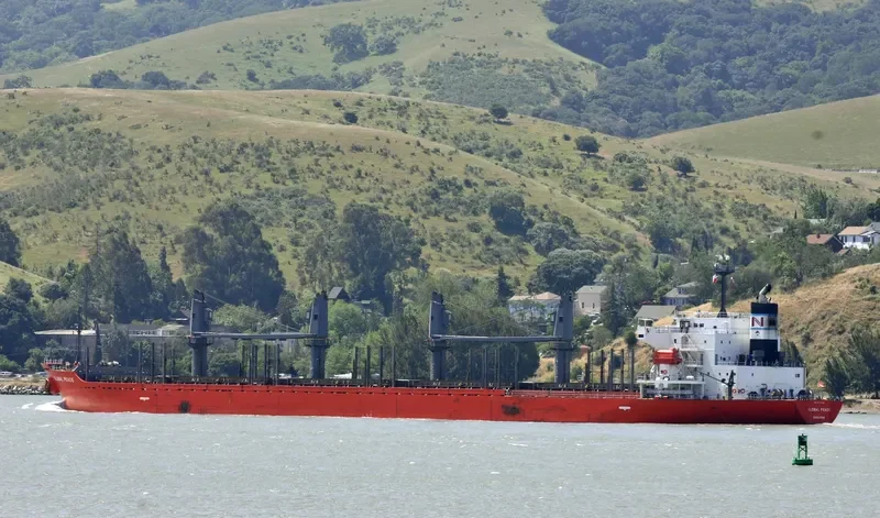 SHAKESPEARE BAY Bulk Carrier IMO 9542661 photo 9