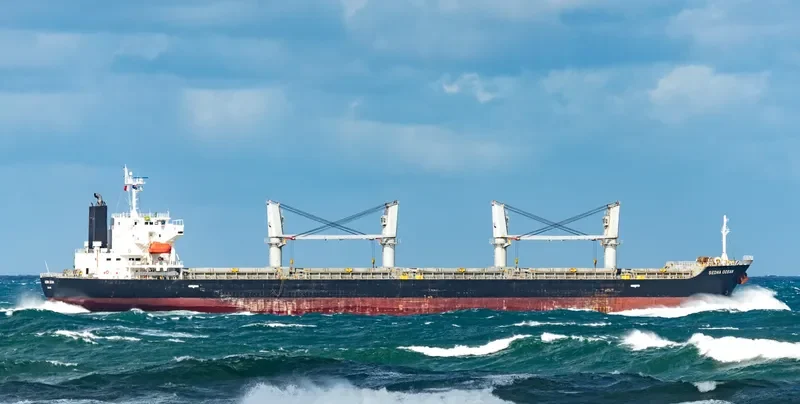 SEDNA OCEAN Bulk Carrier IMO 9542685 photo 3