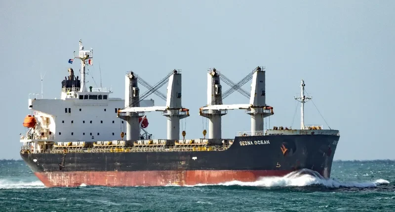 SEDNA OCEAN Bulk Carrier IMO 9542685 photo 4