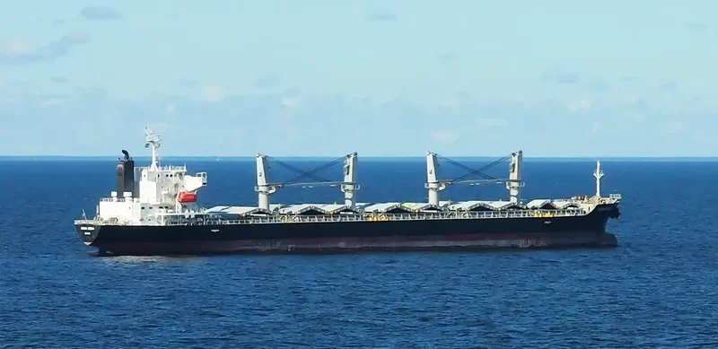SEDNA OCEAN Bulk Carrier IMO 9542685 photo 8