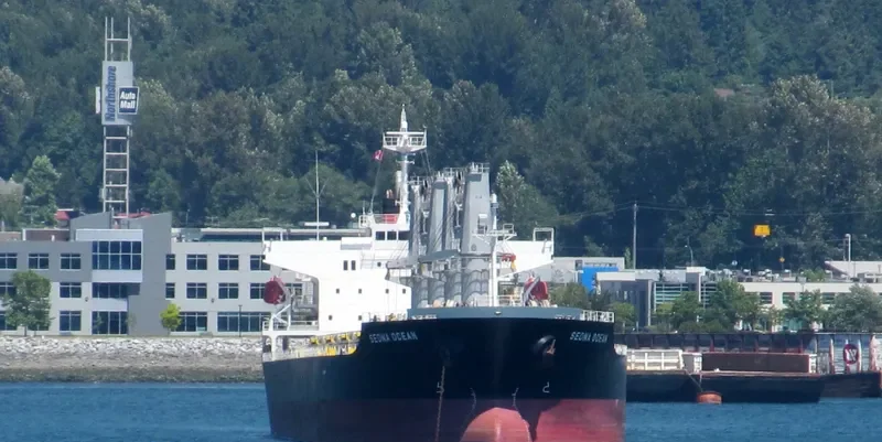 SEDNA OCEAN Bulk Carrier IMO 9542685 photo 9