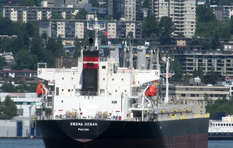 SEDNA OCEAN Bulk Carrier IMO 9542685 photo 10