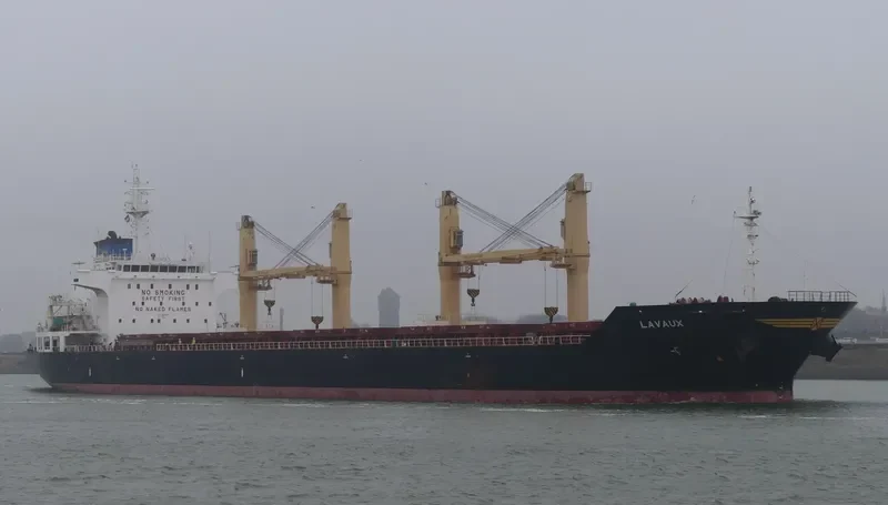 LAVAUX Bulk Carrier IMO 9542817 photo 8