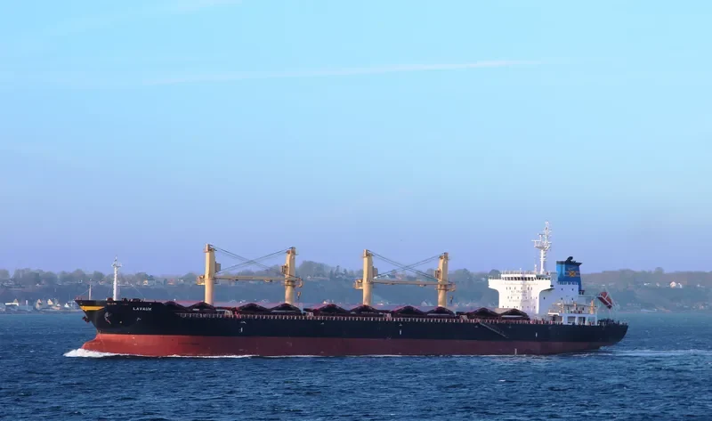 LAVAUX Bulk Carrier IMO 9542817 photo 10