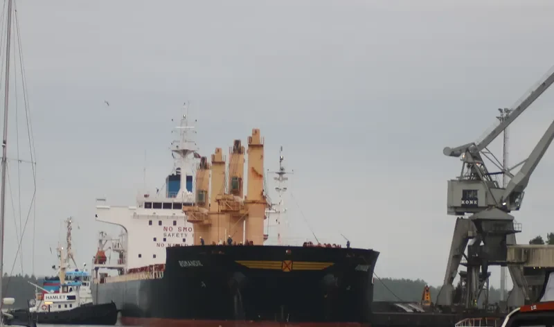 ROMANDIE Bulk Carrier IMO 9542829 photo 3