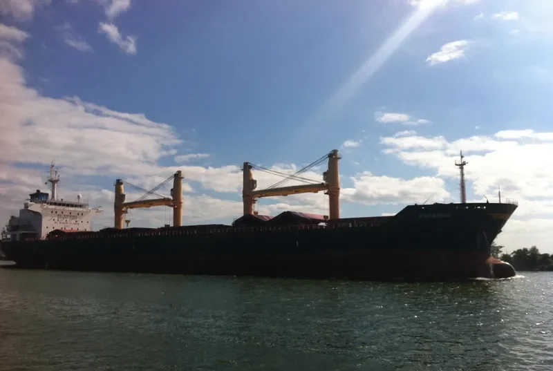 ROMANDIE Bulk Carrier IMO 9542829 photo 9