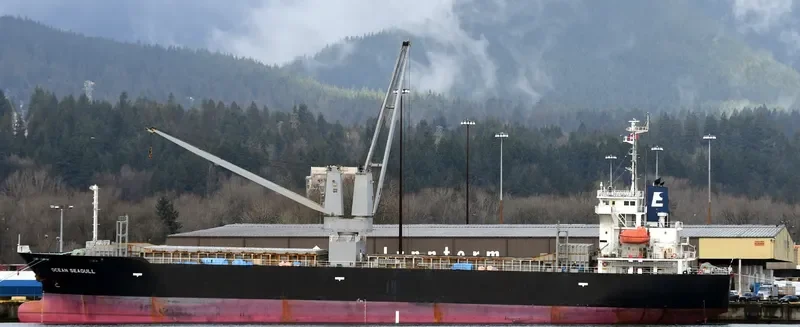 OCEAN SEAGULL General Cargo IMO 9542855 photo 2