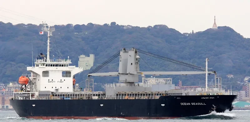 OCEAN SEAGULL General Cargo IMO 9542855 photo 4