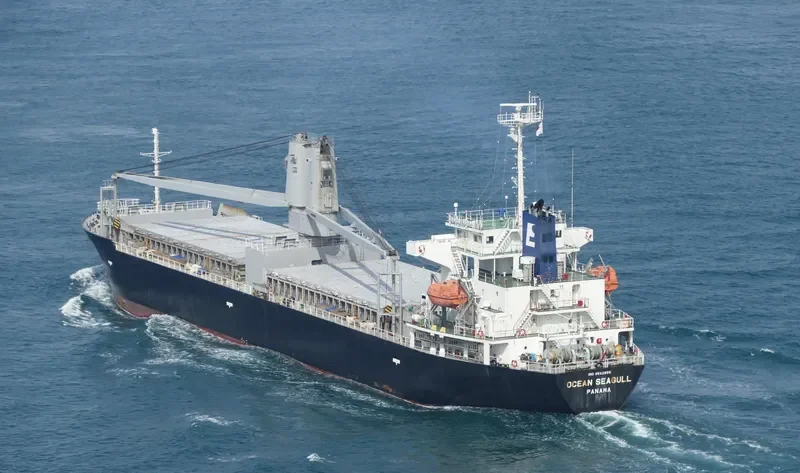 OCEAN SEAGULL General Cargo IMO 9542855 photo 6
