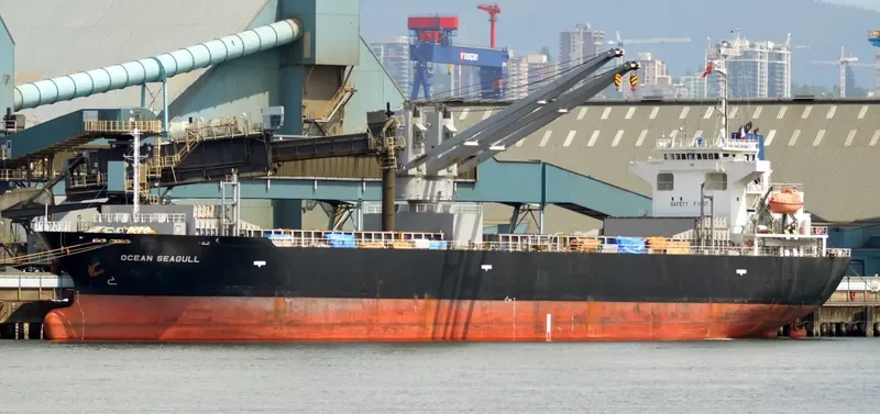 OCEAN SEAGULL General Cargo IMO 9542855 photo 7