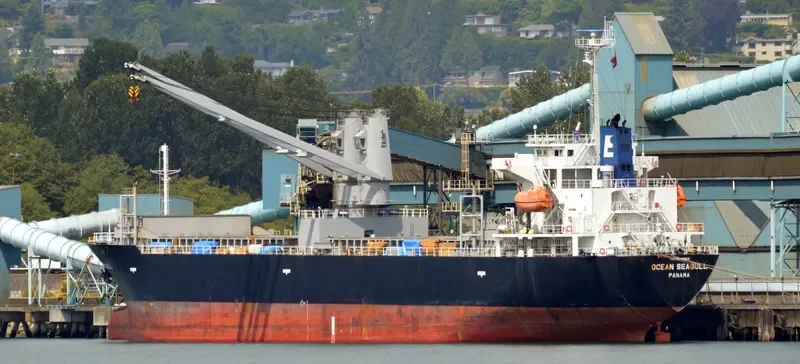 OCEAN SEAGULL General Cargo IMO 9542855 photo 8