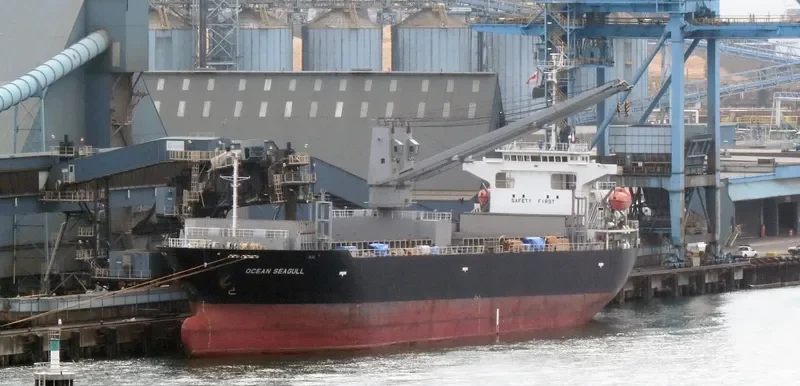 OCEAN SEAGULL General Cargo IMO 9542855 photo 9