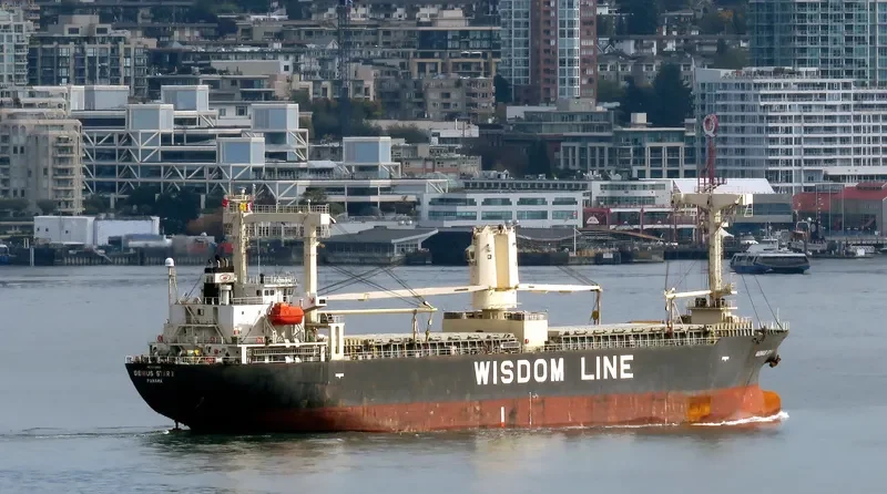 GENIUS STAR X General Cargo IMO 9542893 photo 3