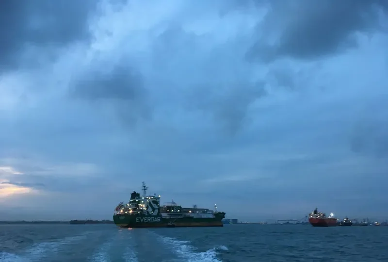 THALEA SCHULTE General Cargo IMO 9542984 photo 10