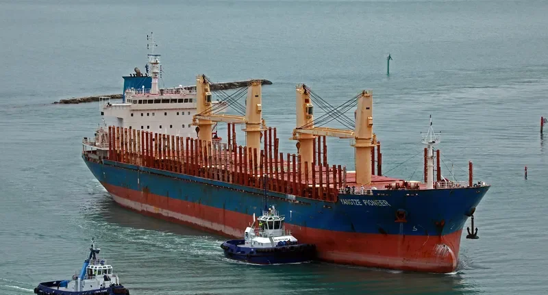 YANGTZE PIONEER Bulk Carrier IMO 9543249 photo 2