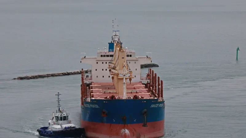 YANGTZE PIONEER Bulk Carrier IMO 9543249 photo 3