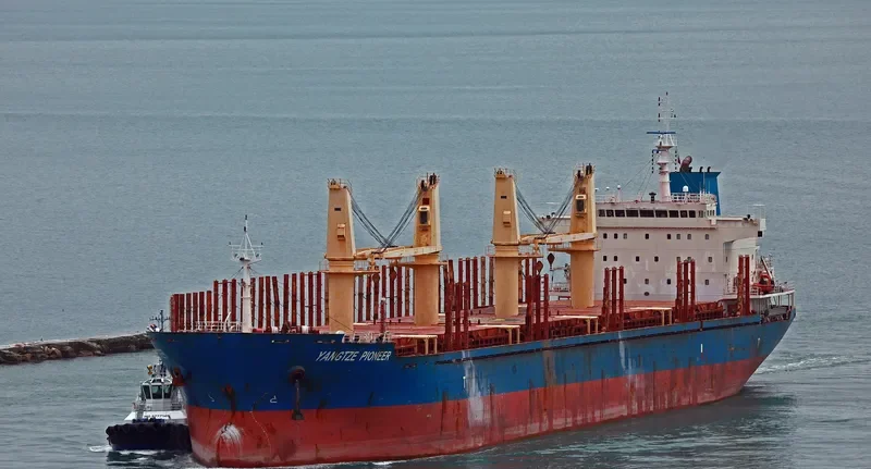 YANGTZE PIONEER Bulk Carrier IMO 9543249 photo 4