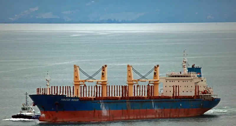 YANGTZE PIONEER Bulk Carrier IMO 9543249 photo 5