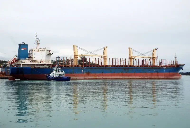 YANGTZE PIONEER Bulk Carrier IMO 9543249 photo 6