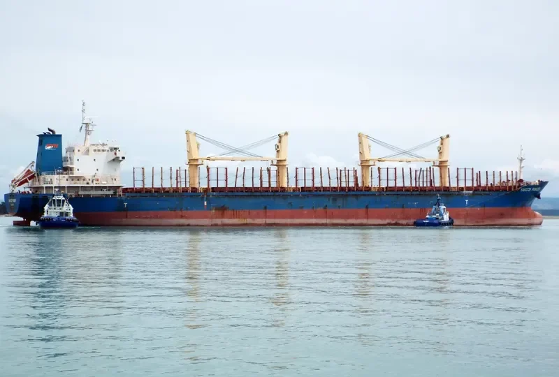 YANGTZE PIONEER Bulk Carrier IMO 9543249 photo 7
