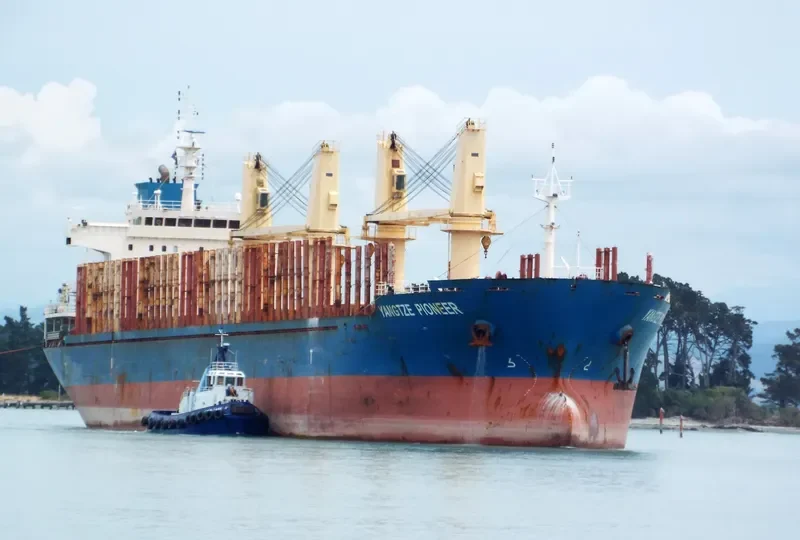 YANGTZE PIONEER Bulk Carrier IMO 9543249 photo 8
