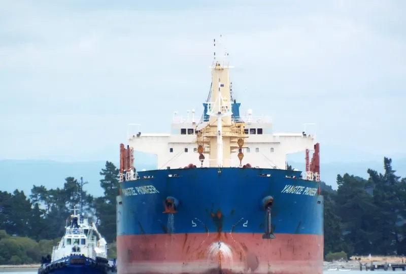 YANGTZE PIONEER Bulk Carrier IMO 9543249 photo 9