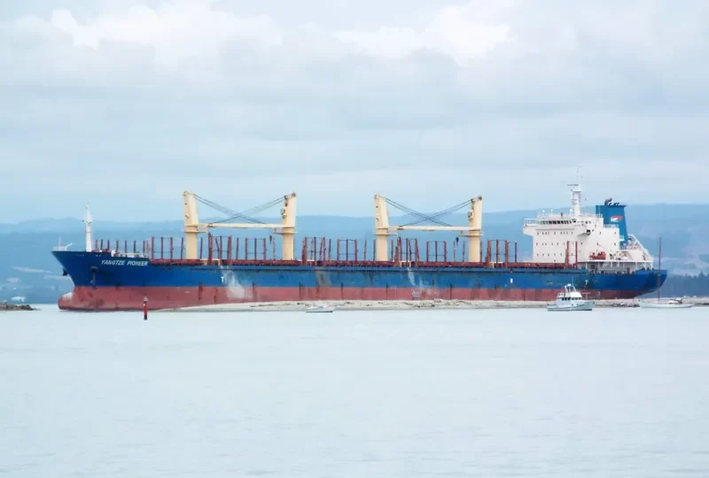 YANGTZE PIONEER Bulk Carrier IMO 9543249 photo 10