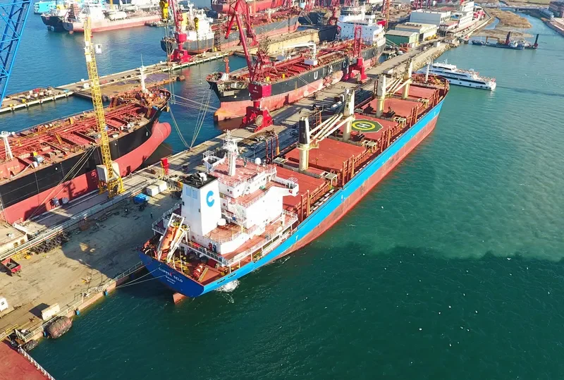 CLIPPER SELO Bulk Carrier IMO 9543251 photo 3
